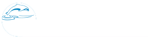 Dolphin Automotive & Radiators